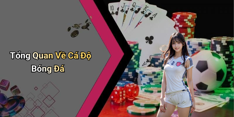 Tổng Quan Về Cá Độ Bóng Đá